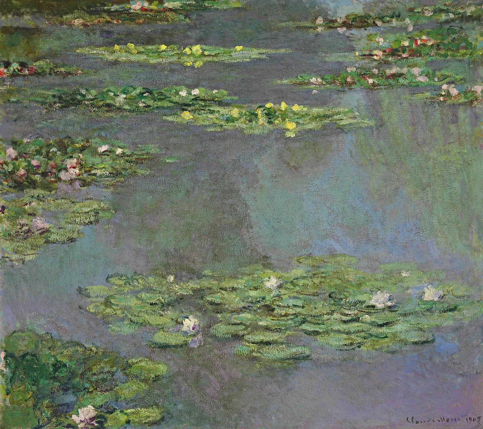Water-Lilies