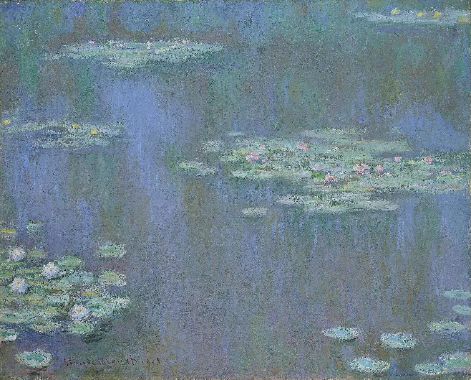 Water-Lilies