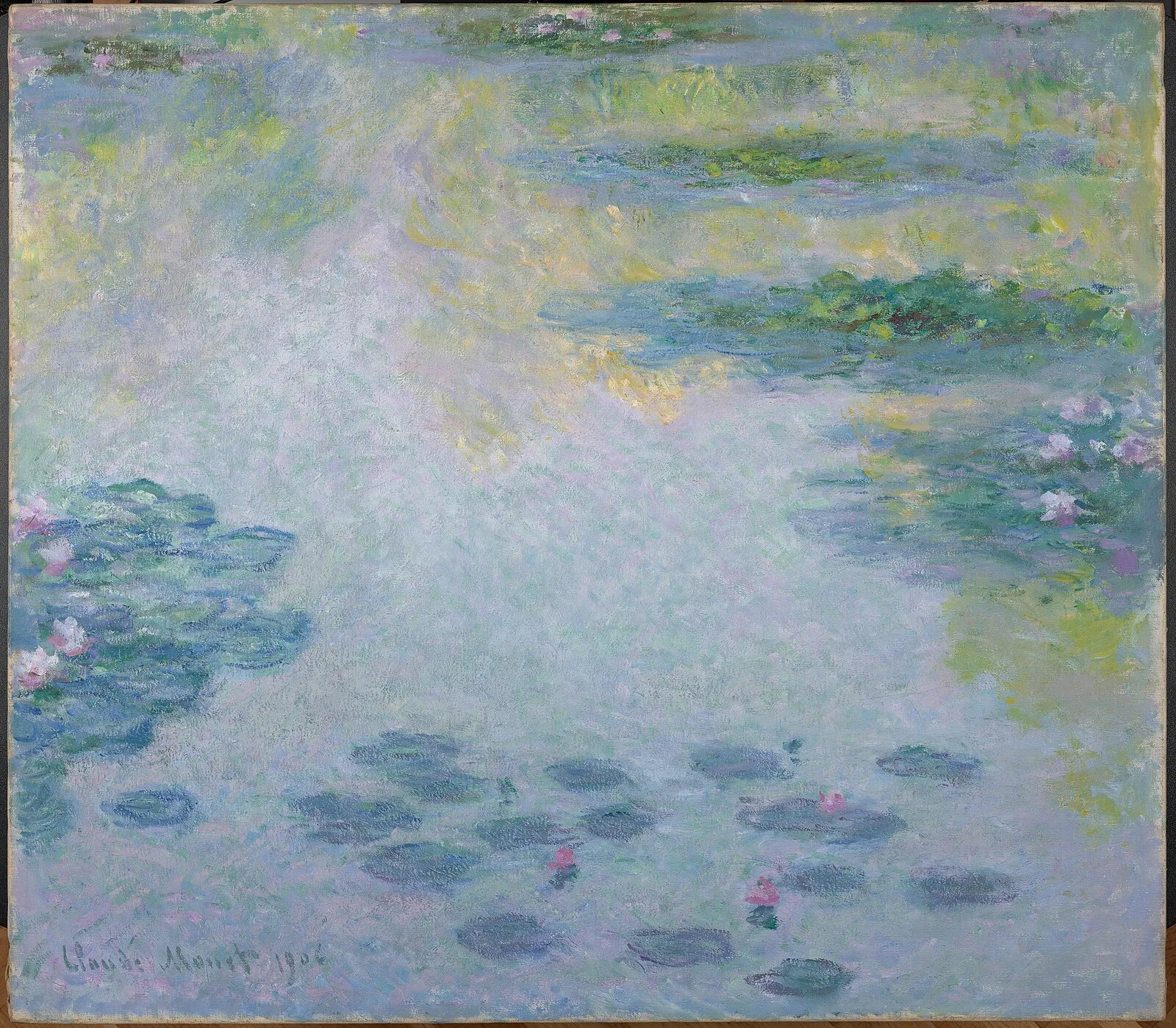Water-Lilies