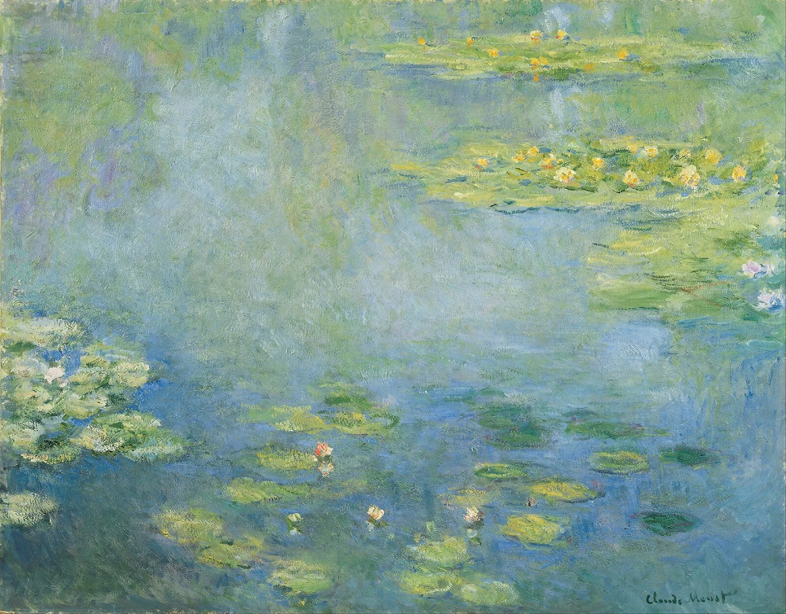 Water-Lilies