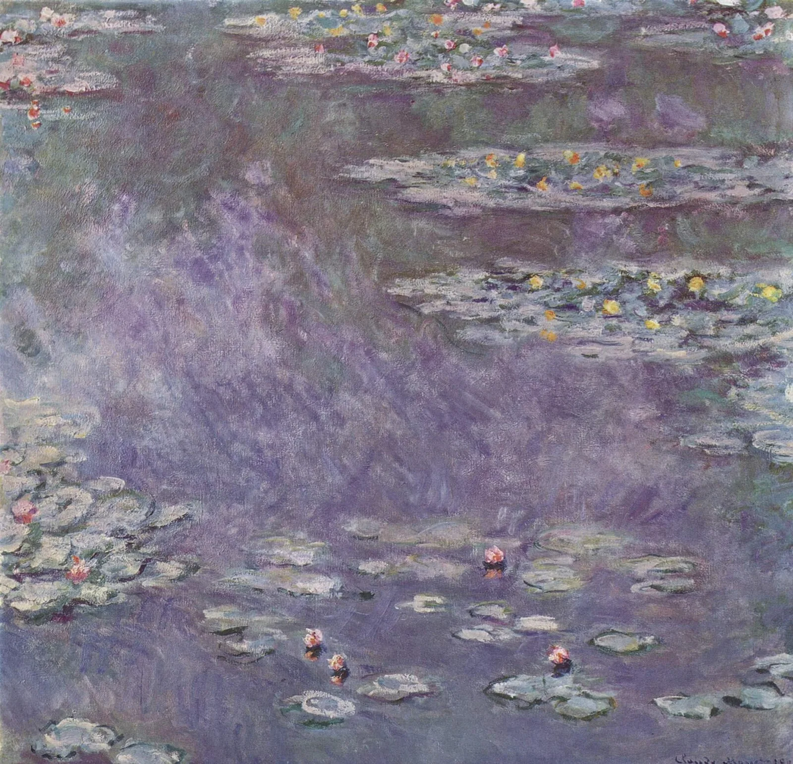 Water-Lilies