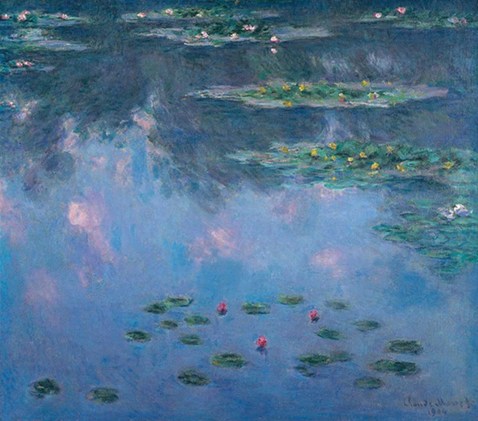 Water-Lilies