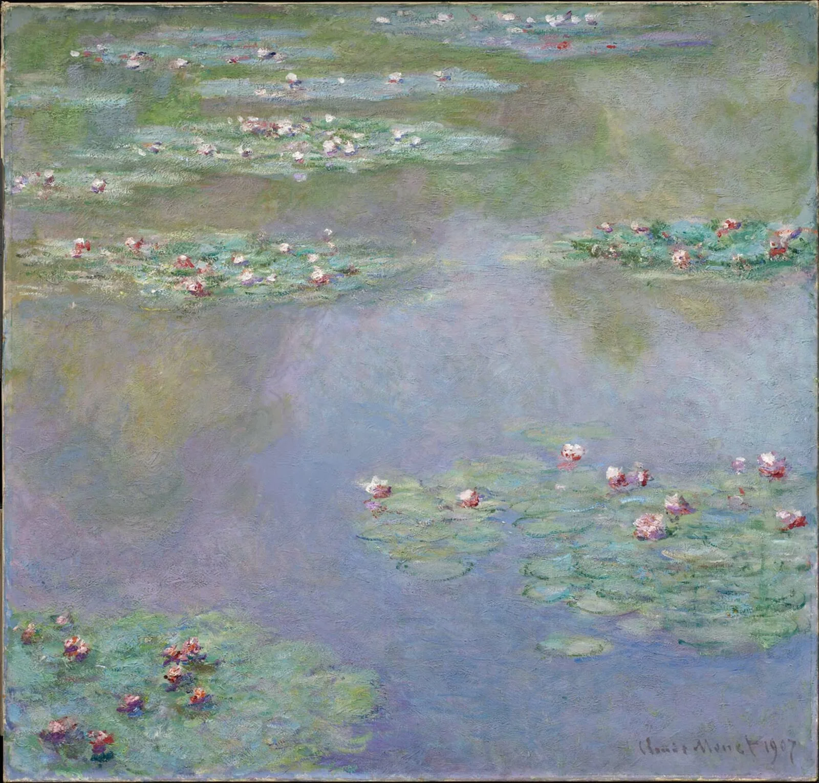 Water-Lilies