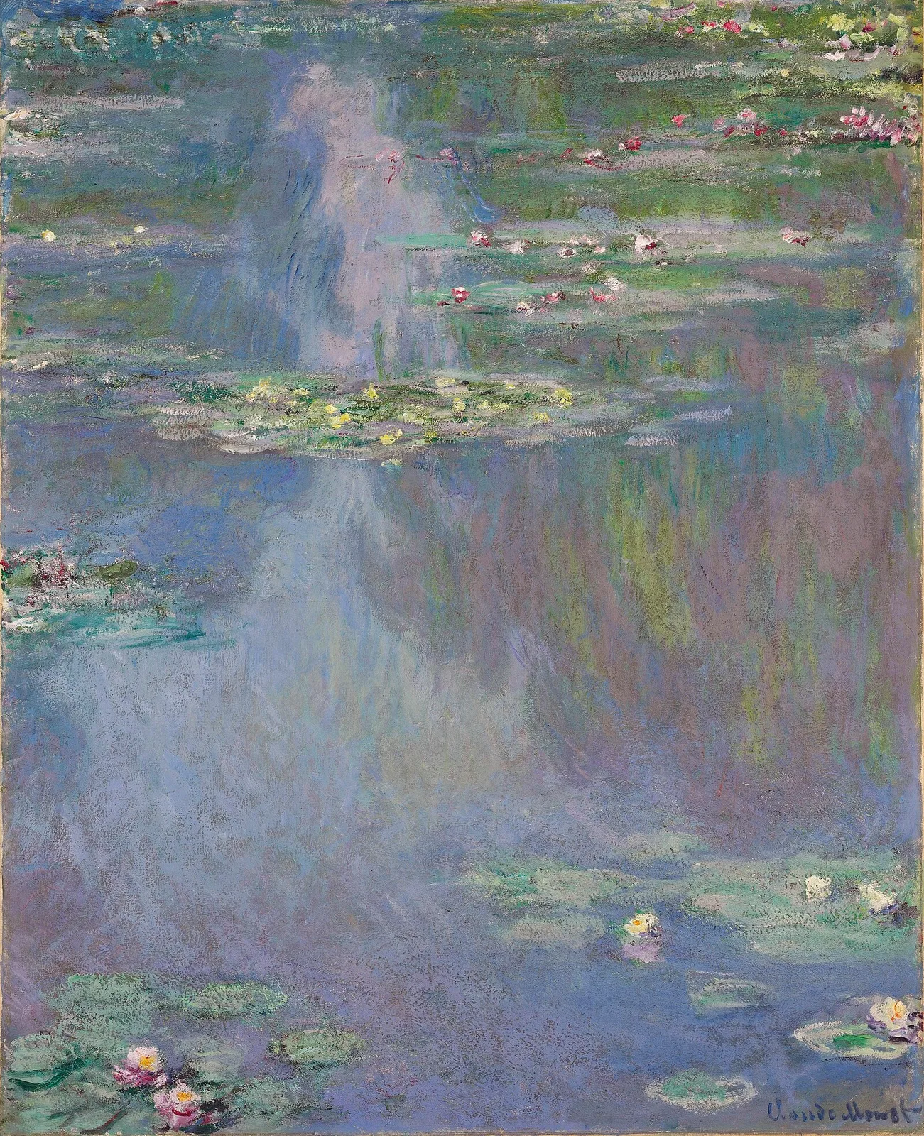 Water-Lilies