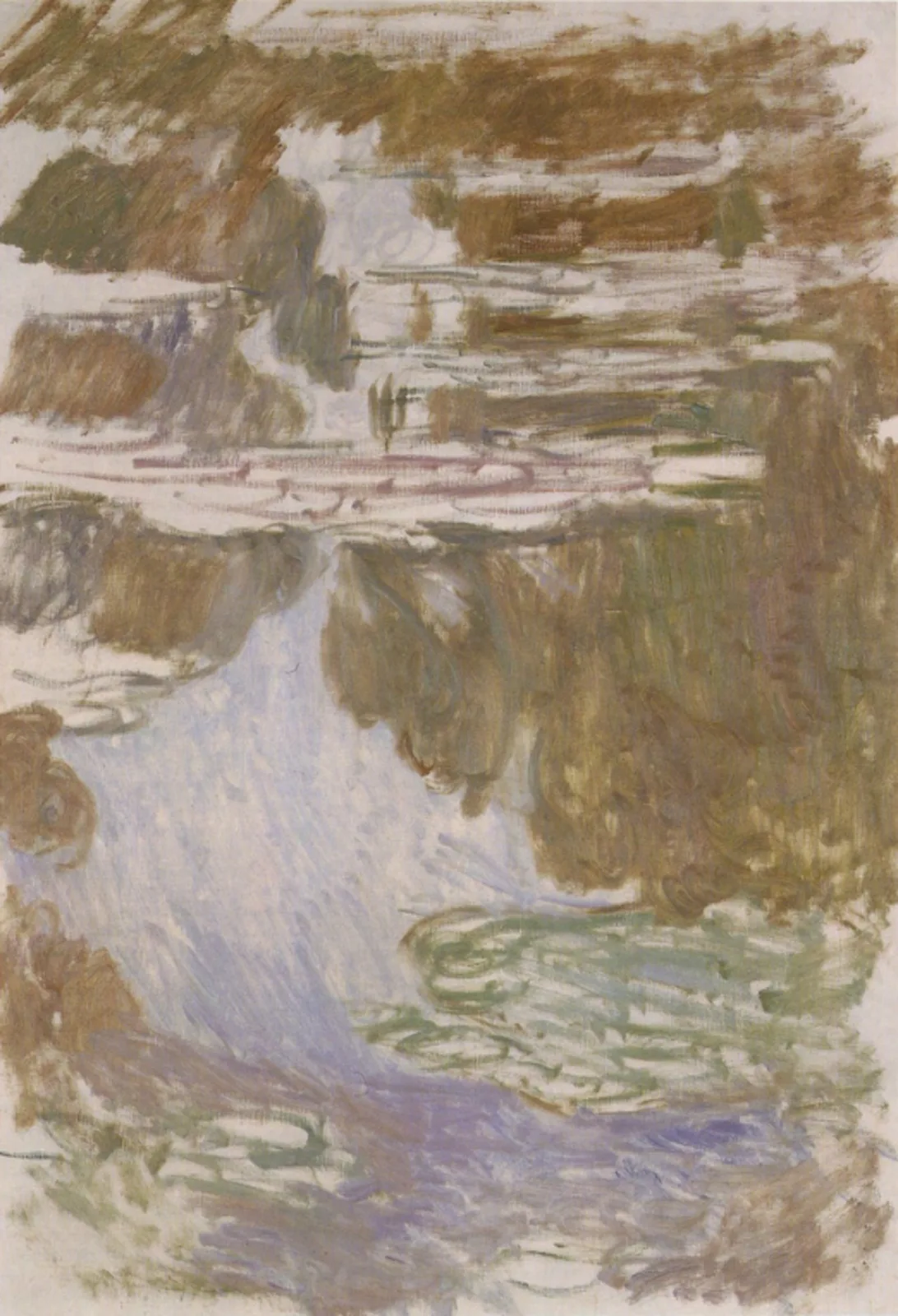 Water-Lilies