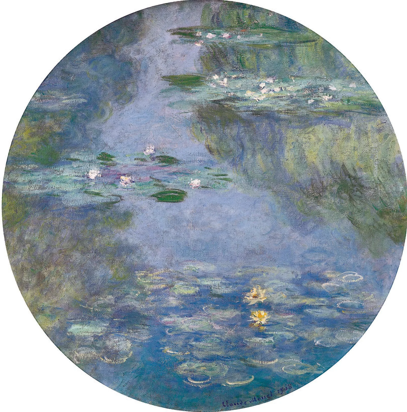 Water Lilies