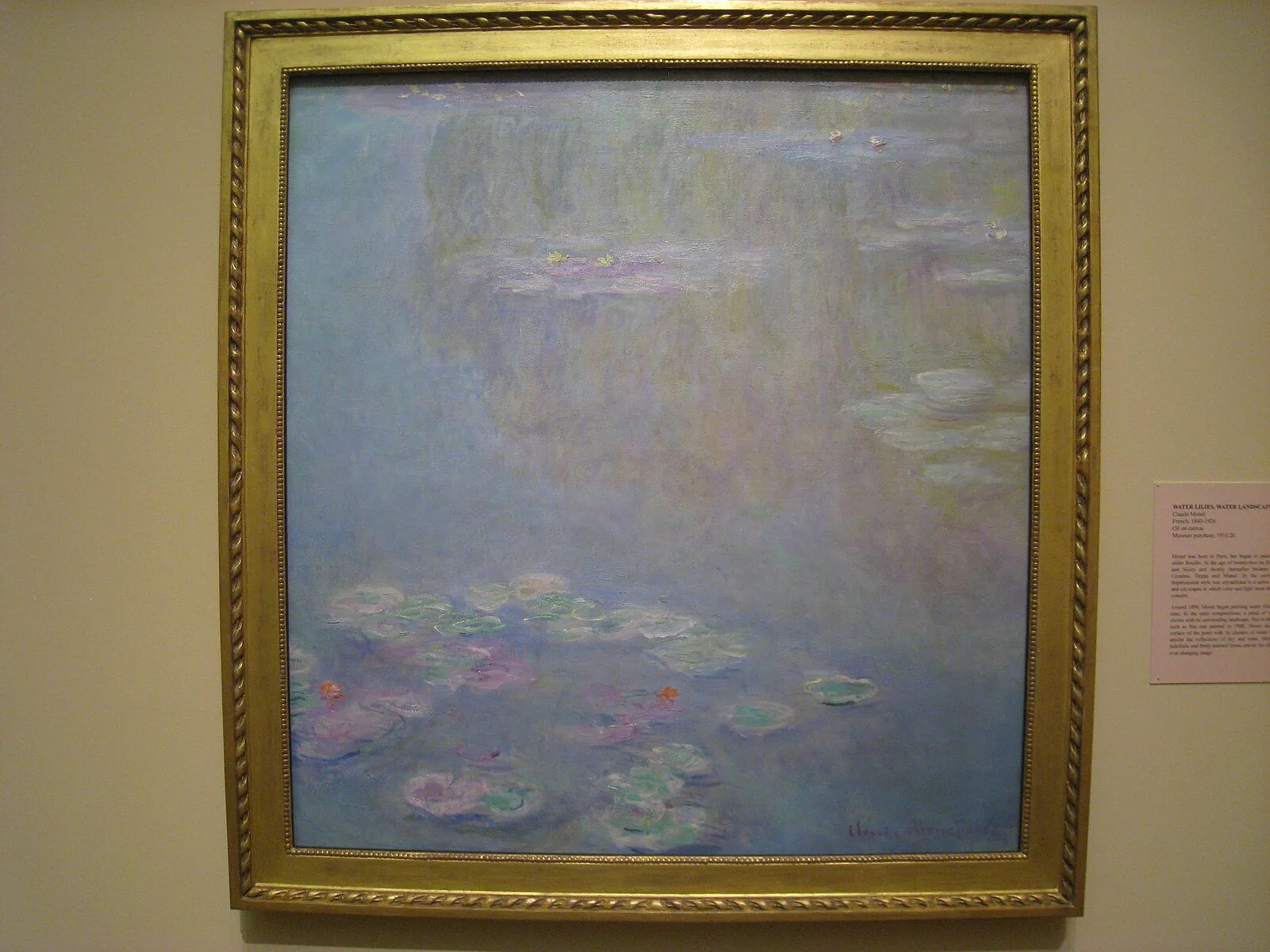 Water-Lilies