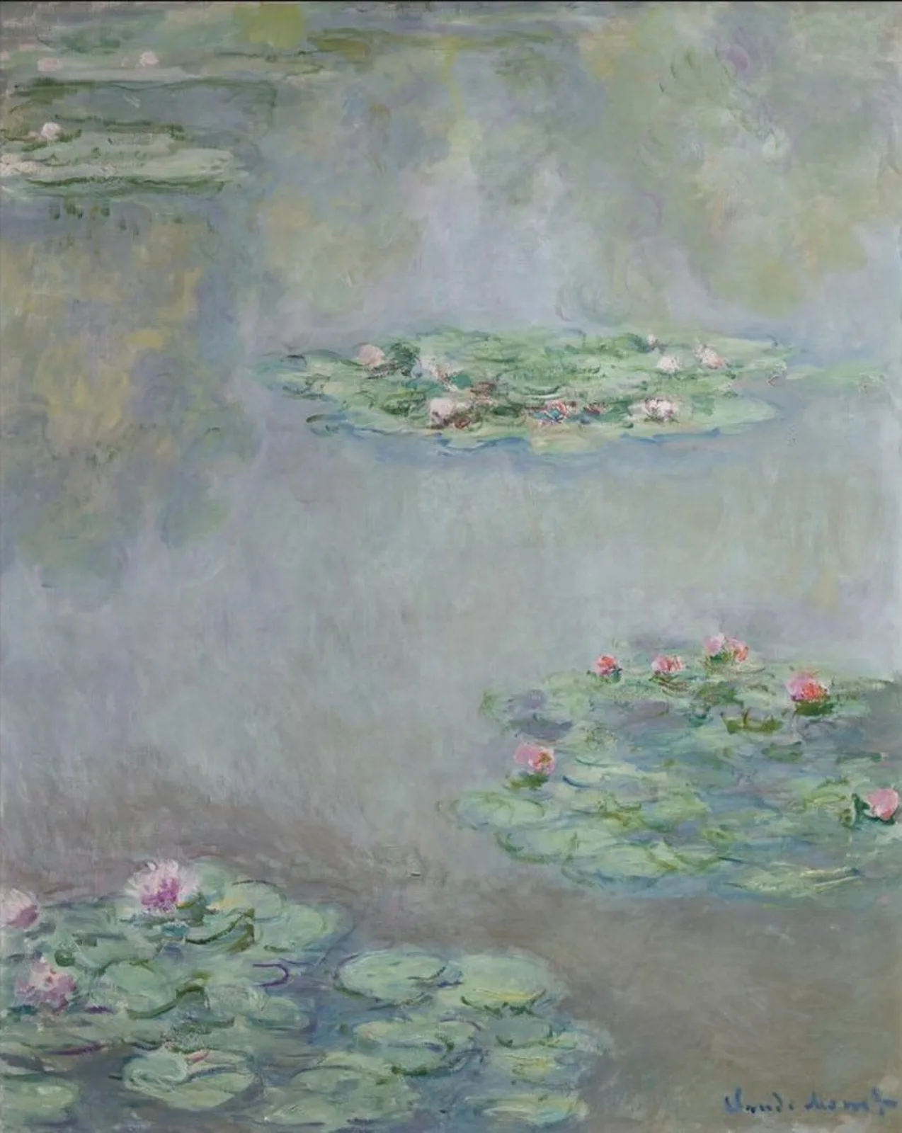 Water-Lilies
