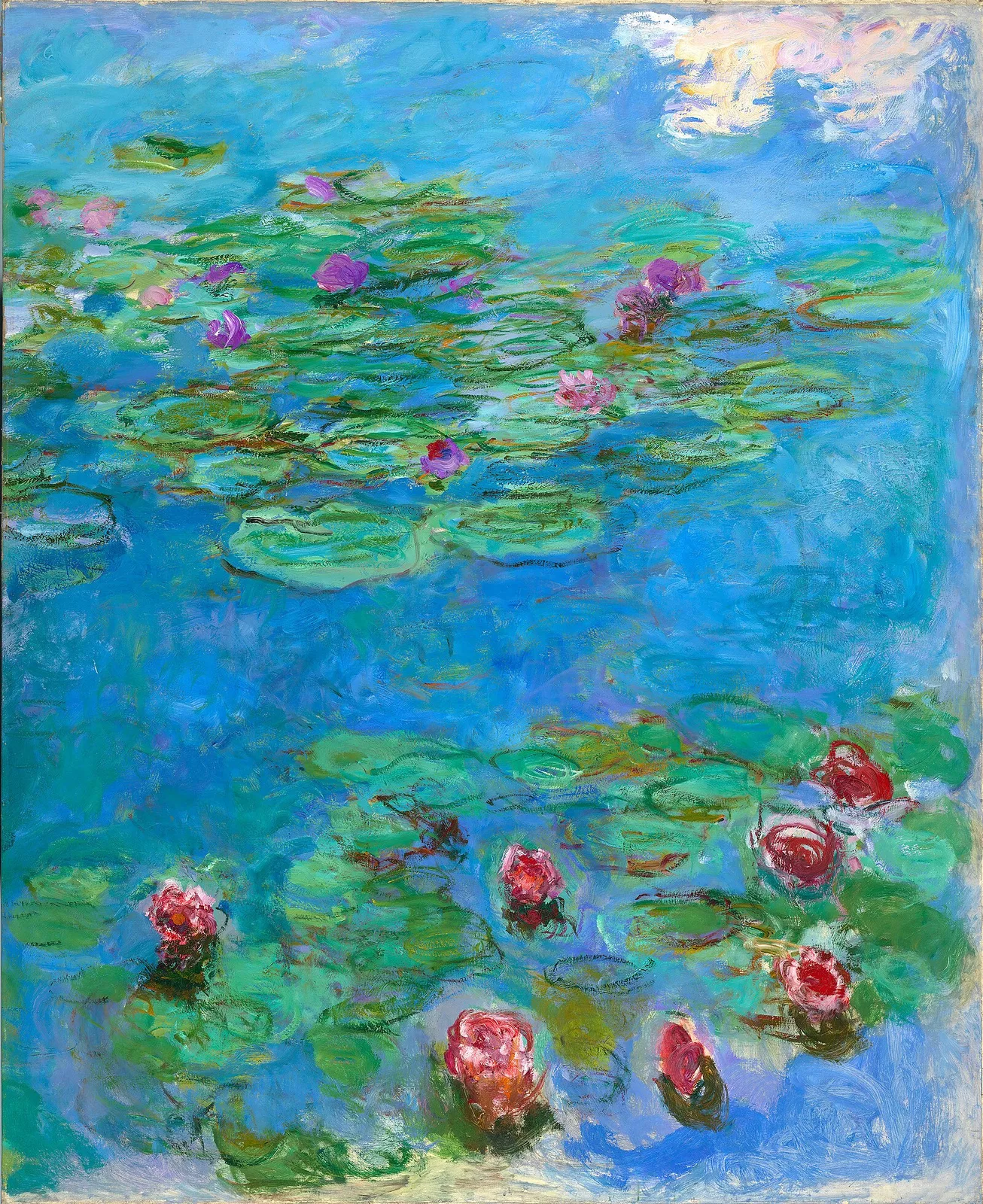 Water-Lilies