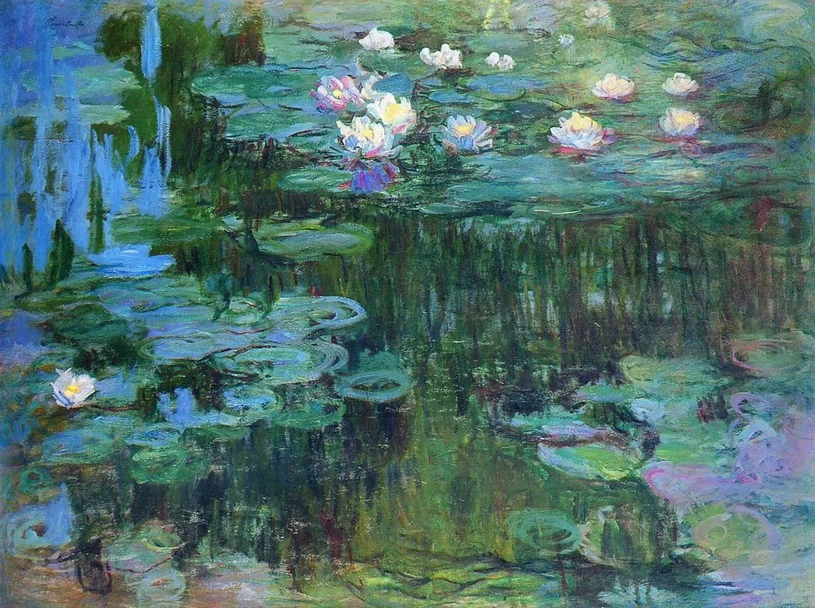 Water Lilies