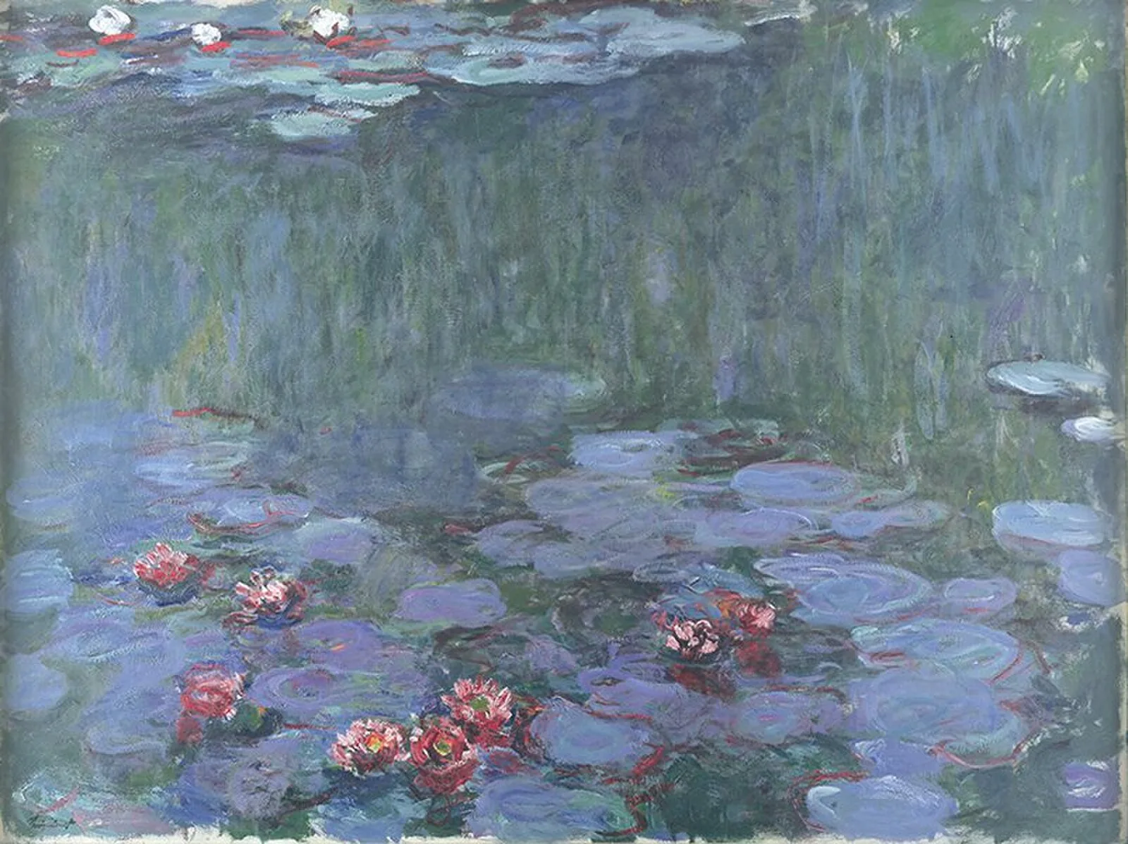 Water Lilies