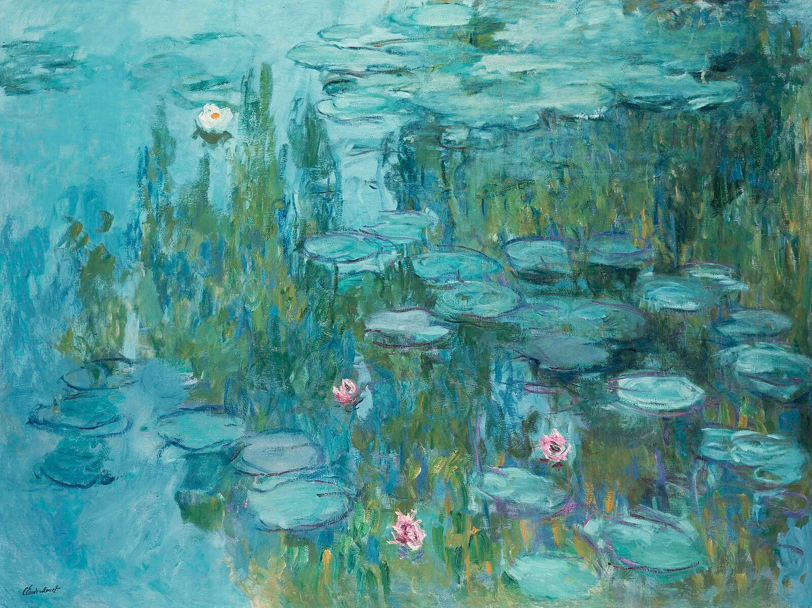 Water-Lilies