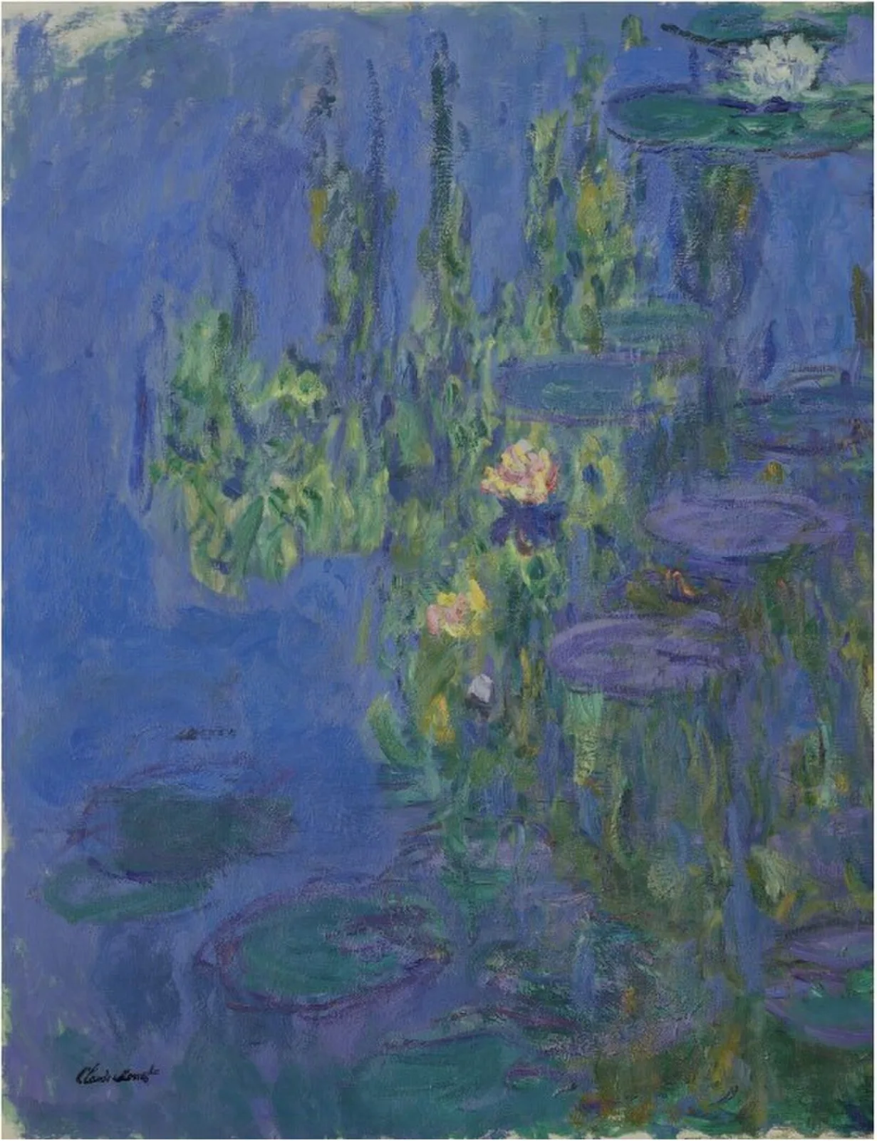 Water Lilies