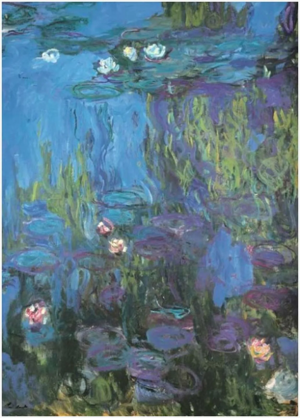 Water Lilies