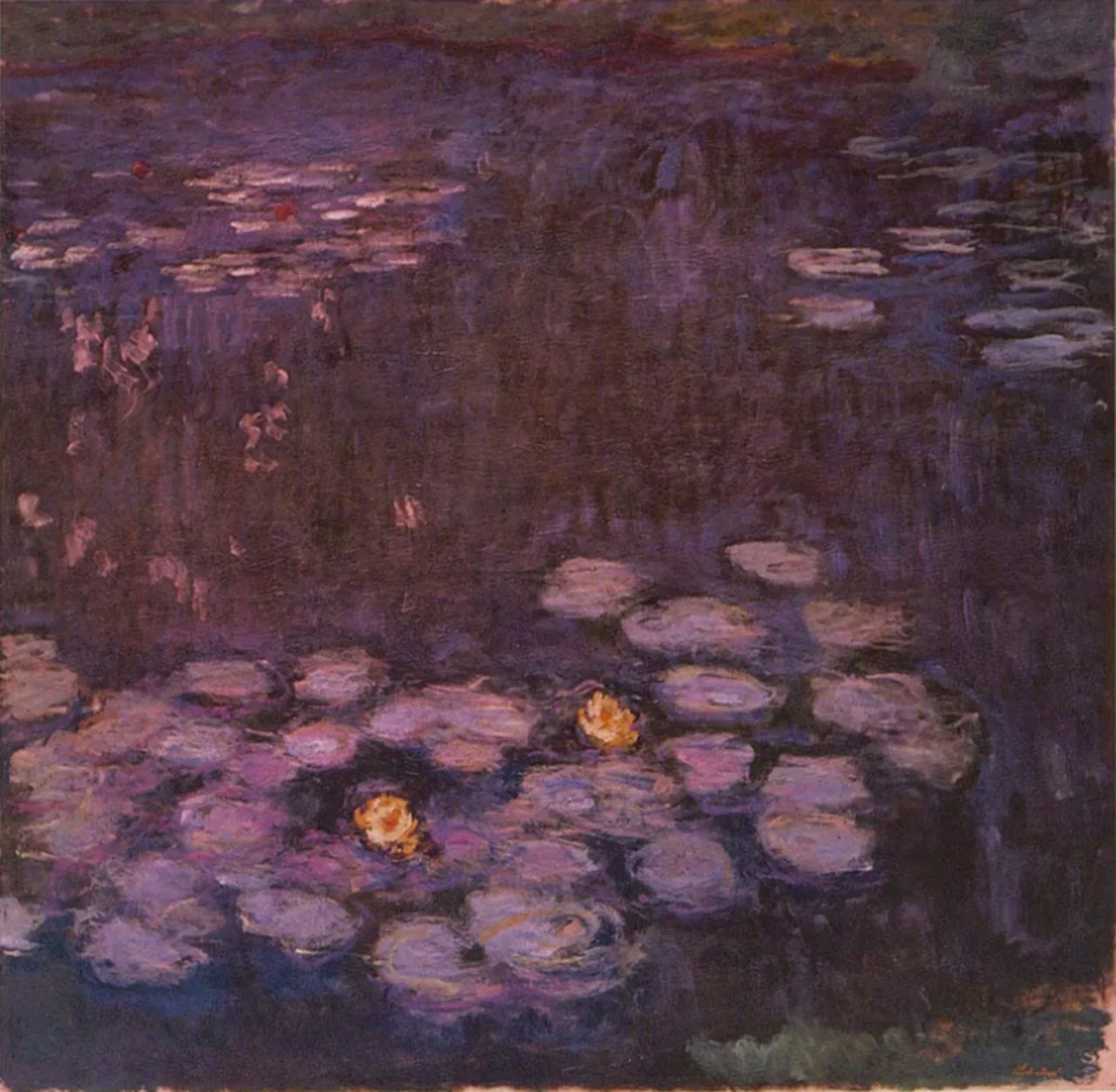 Water Lilies