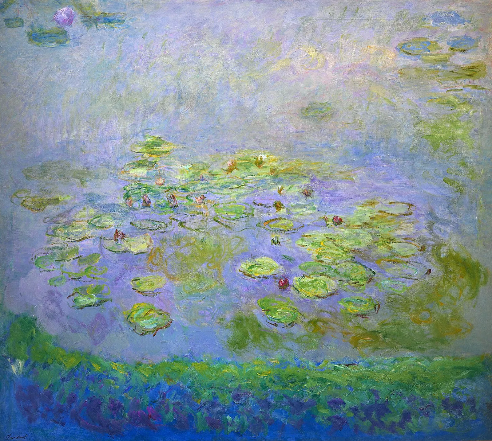 Water Lilies