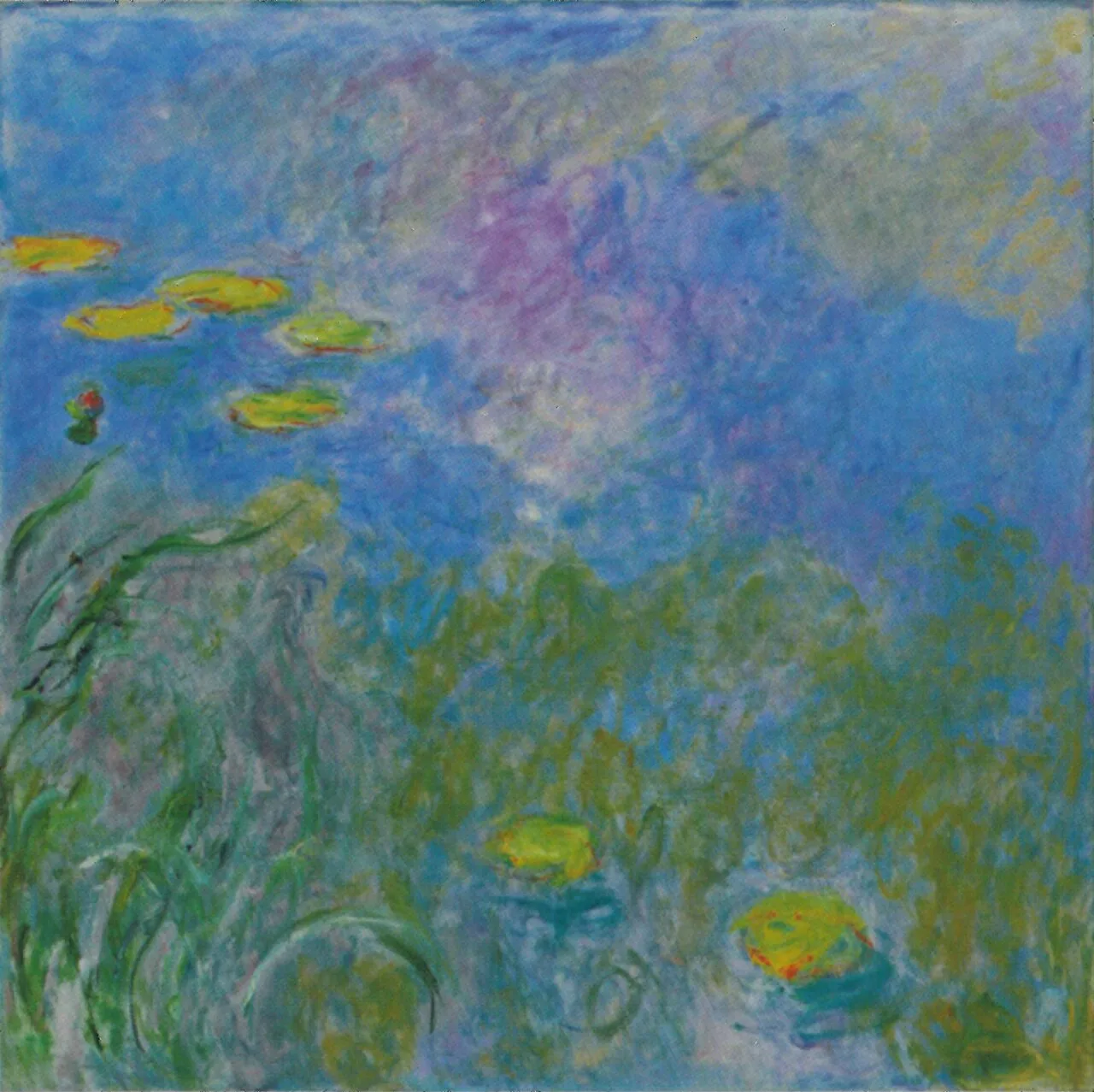 Water Lilies