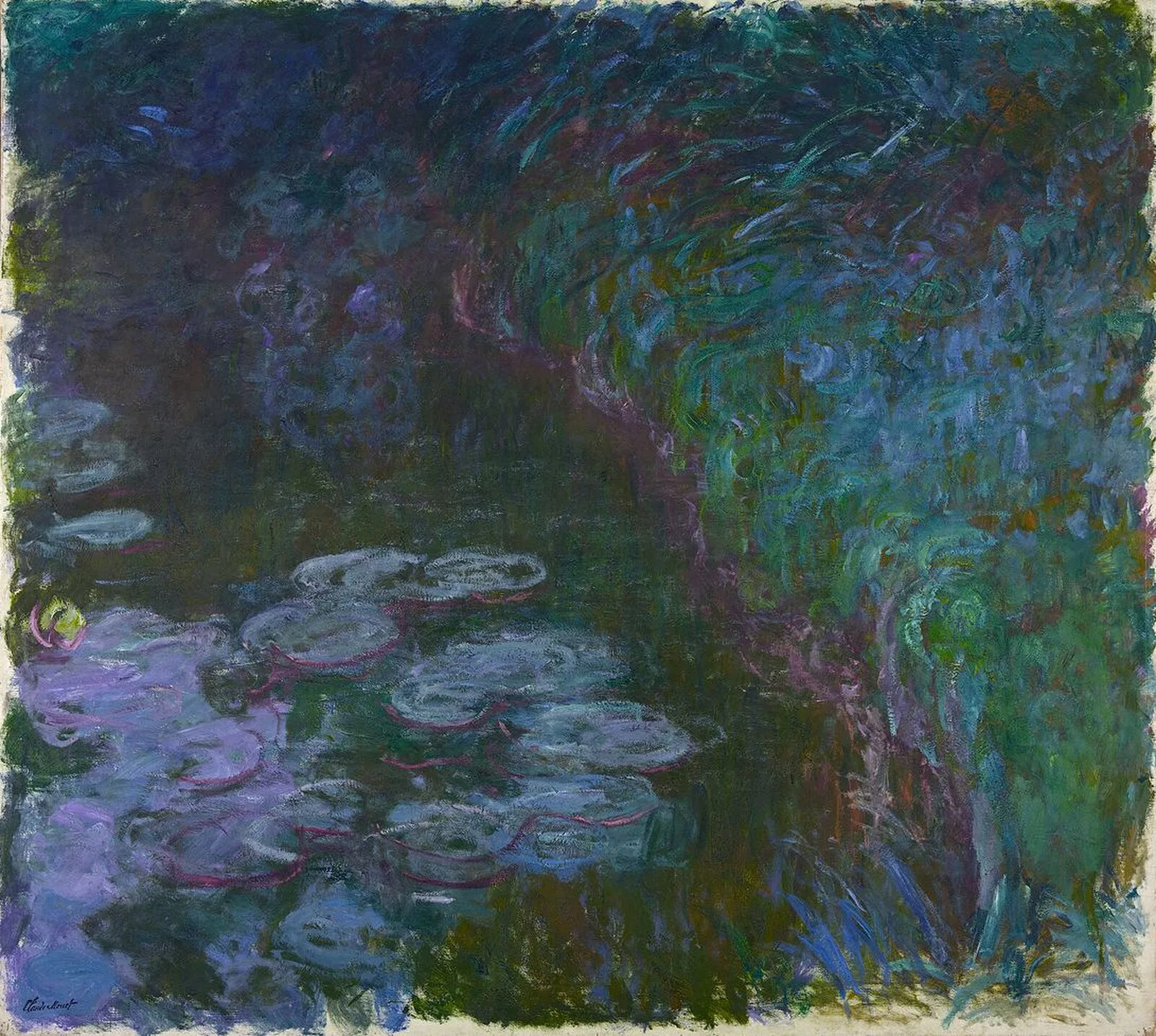 Water Lilies