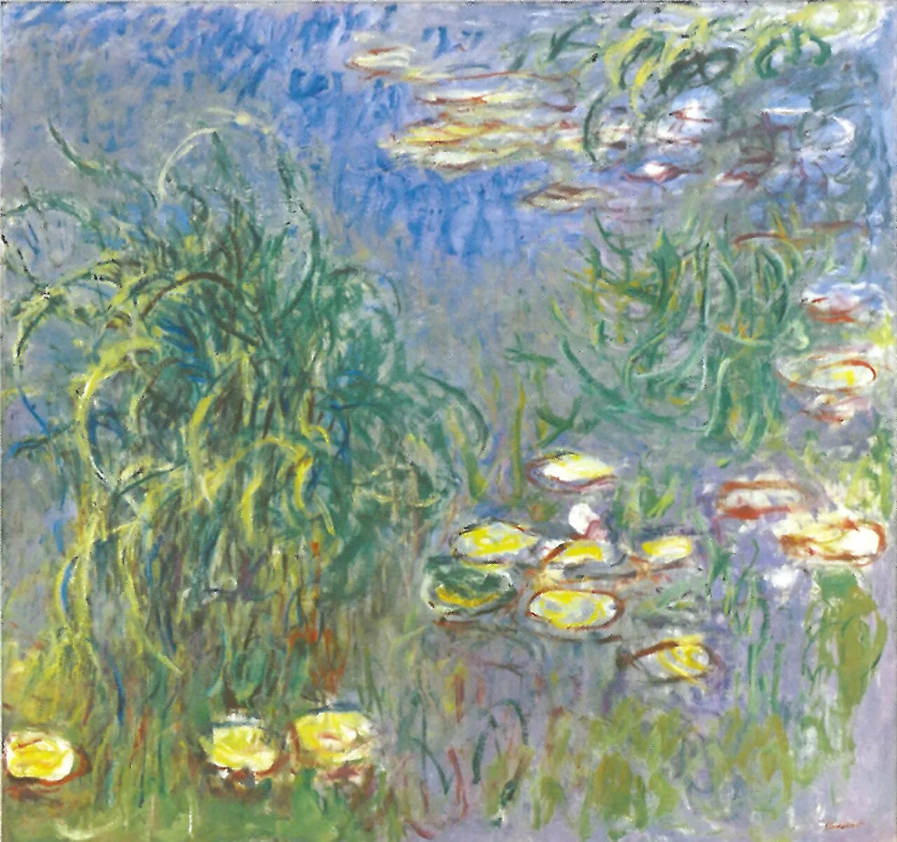 Water-Lilies, Cluster of Grass