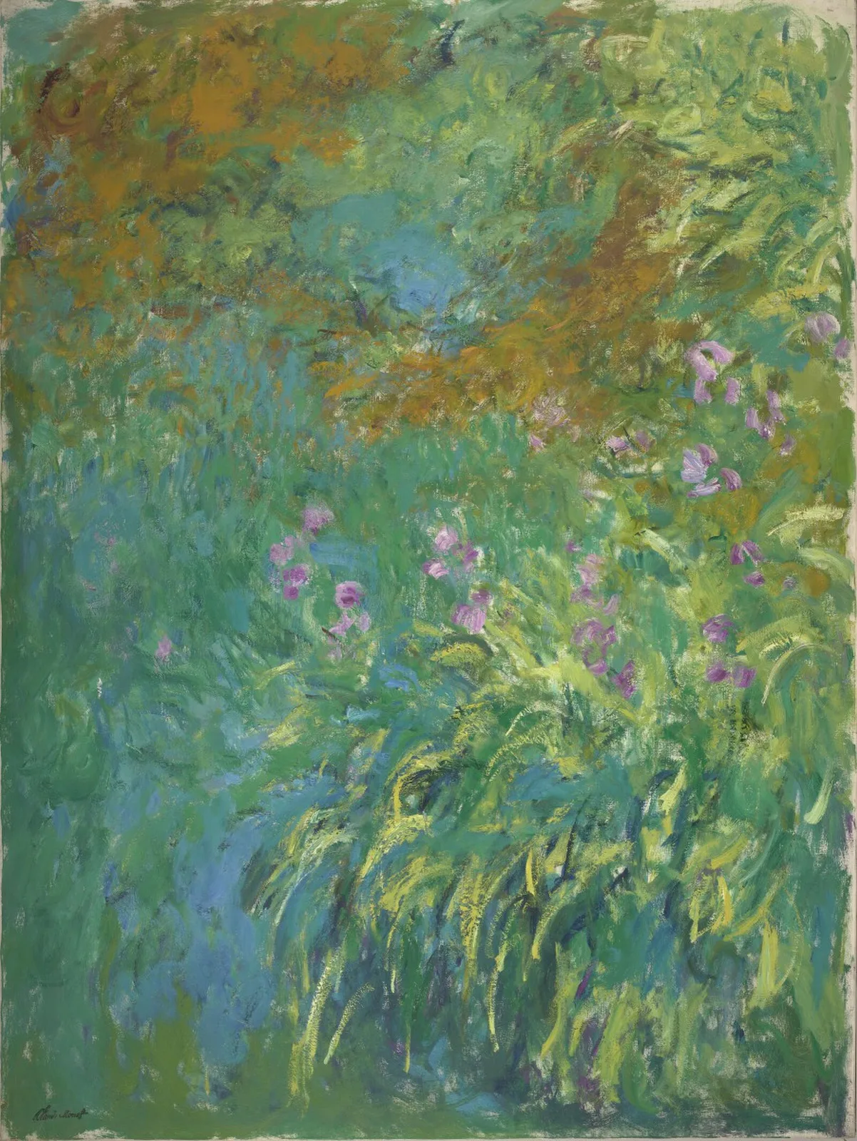 Irises