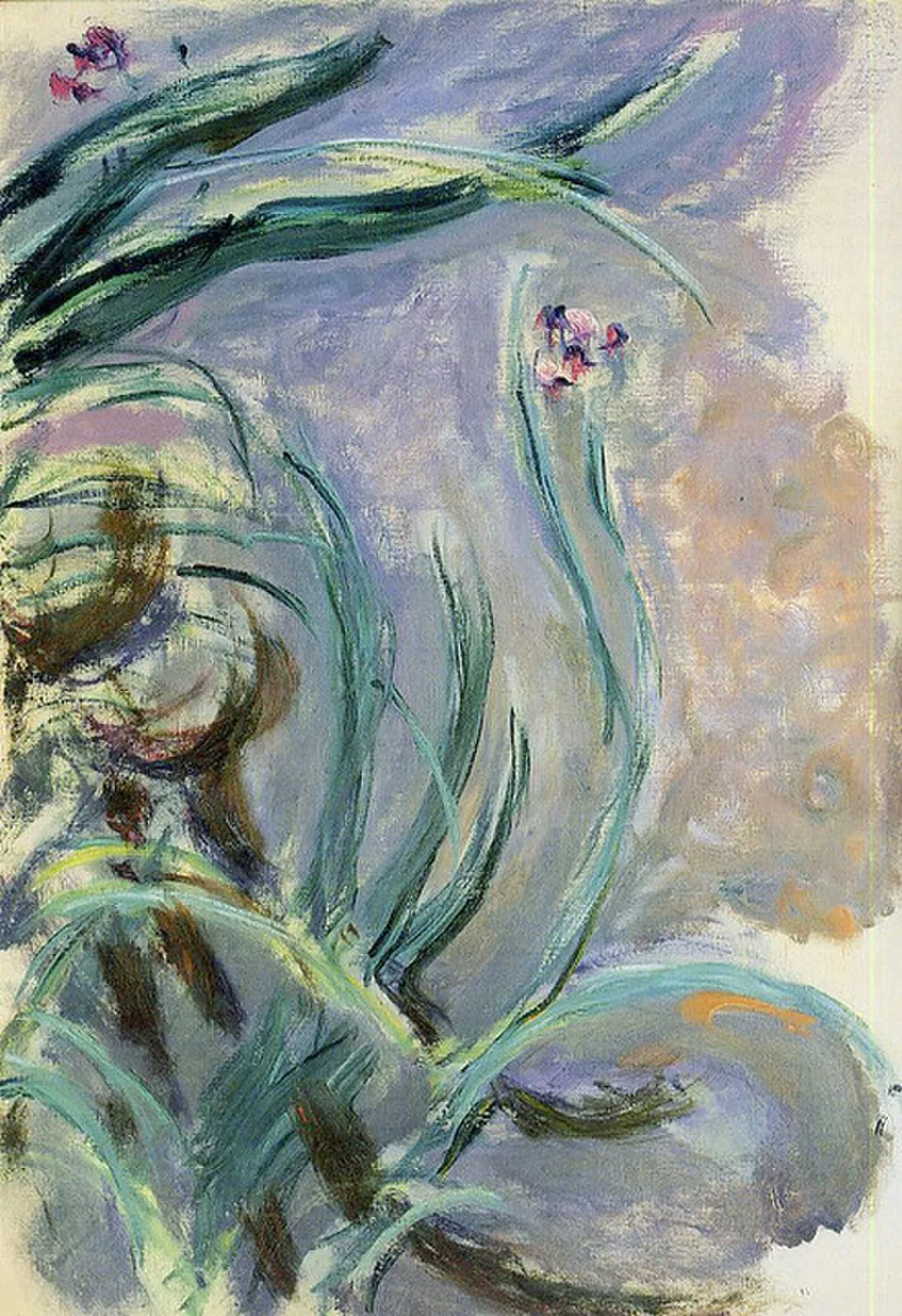 Irises