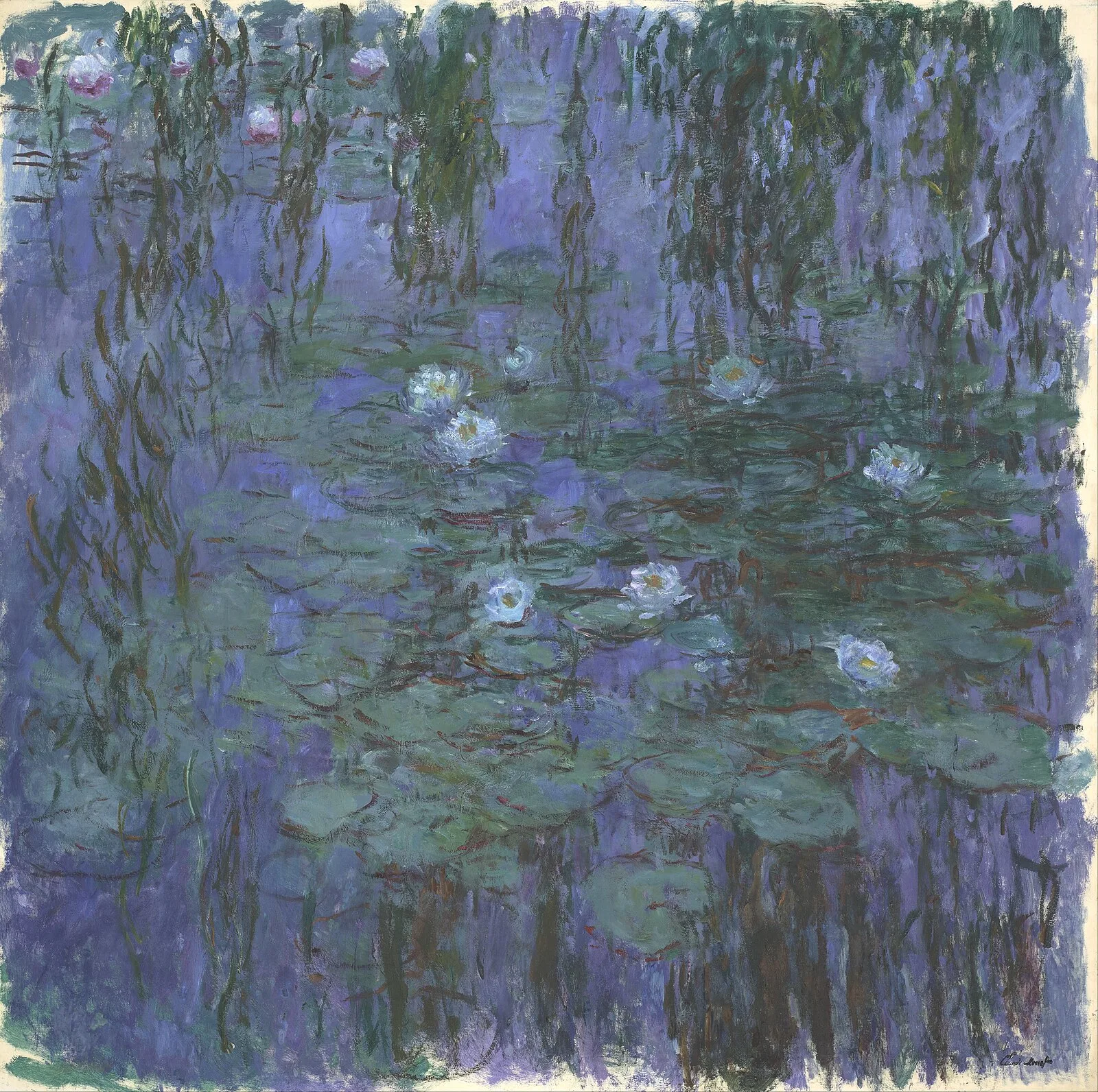 Blue Water-Lilies