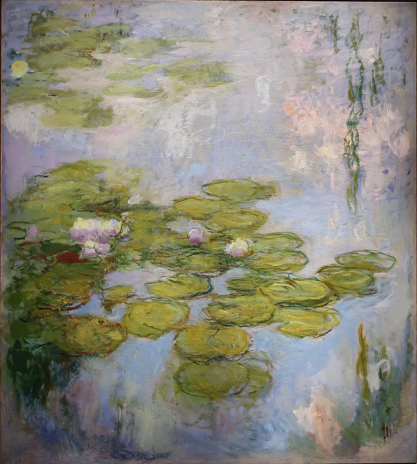 Water-Lilies