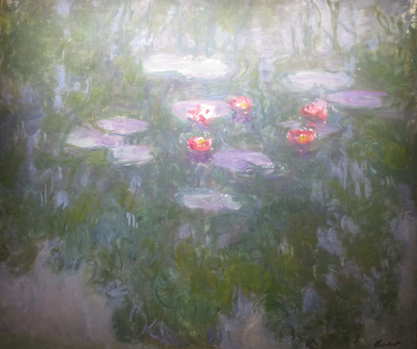 Water-Lilies
