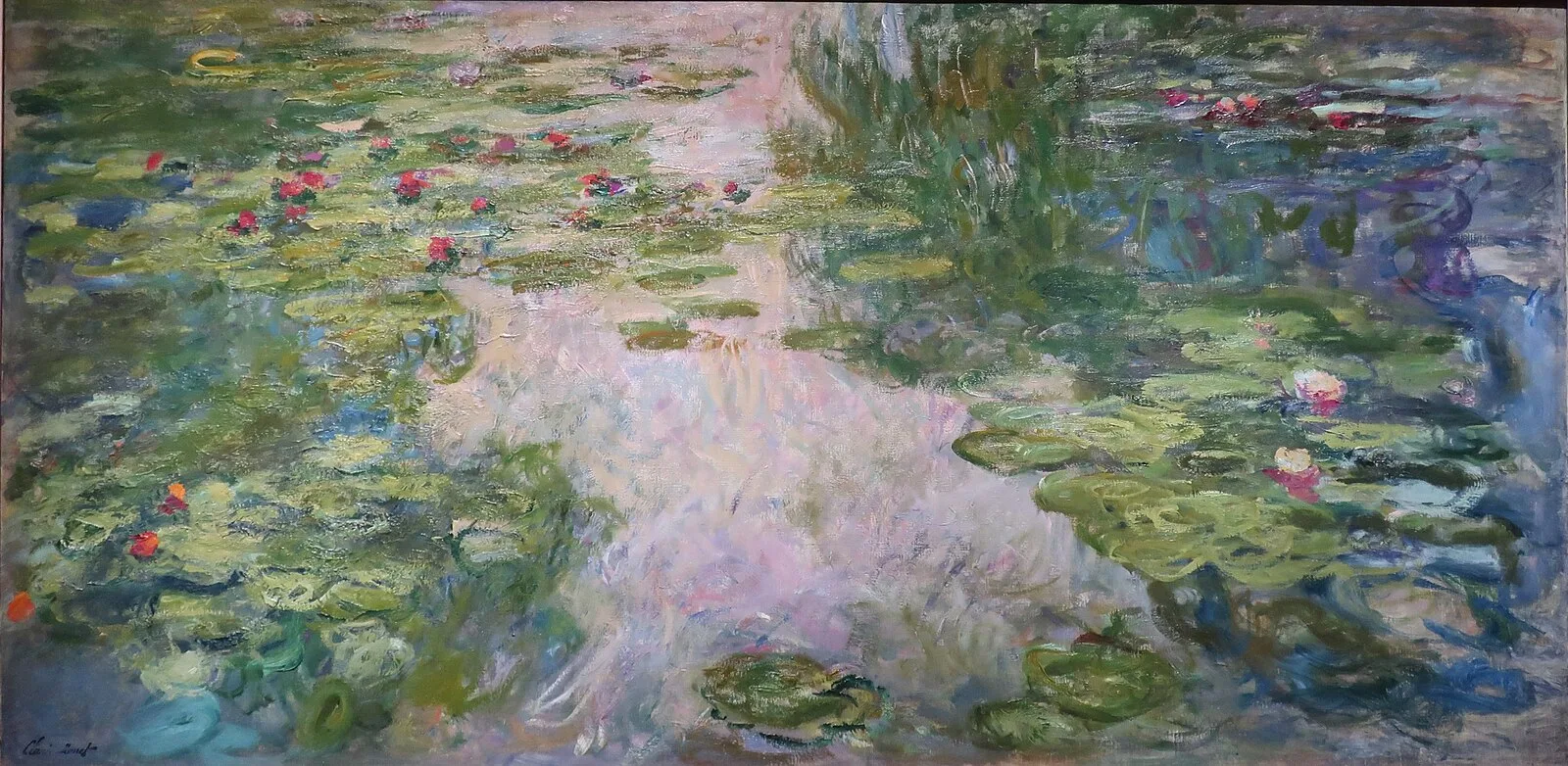 Water Lilies