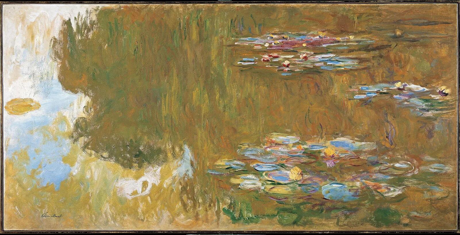 Water-Lily Pond