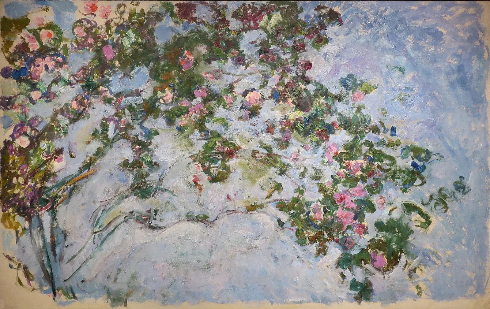 The Rose Bush