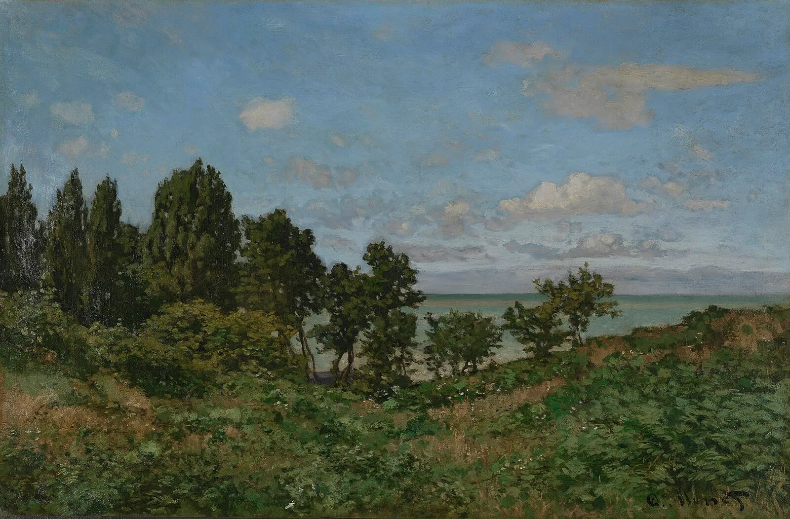 Coastal landscape