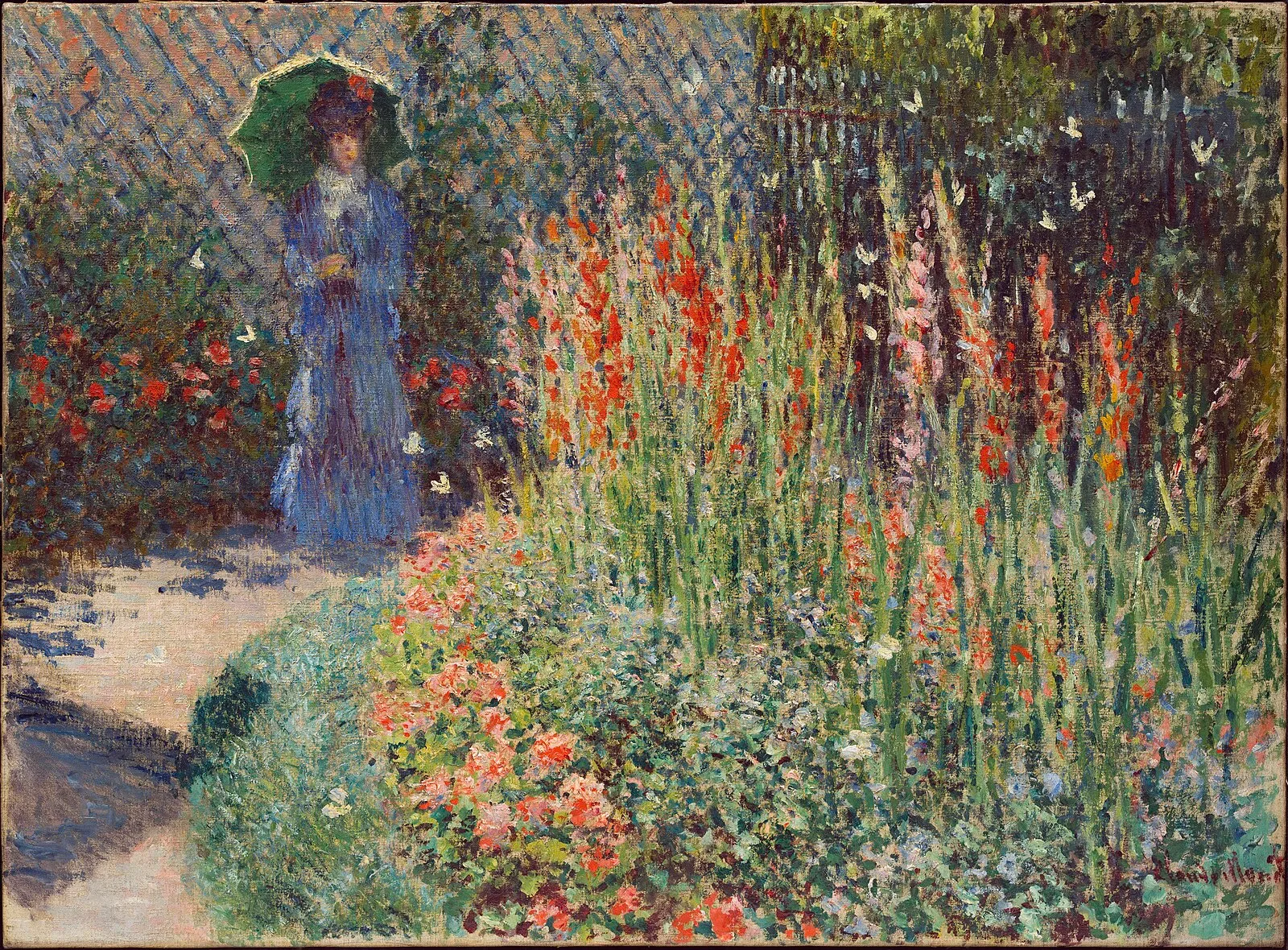 The Garden, Gladioli