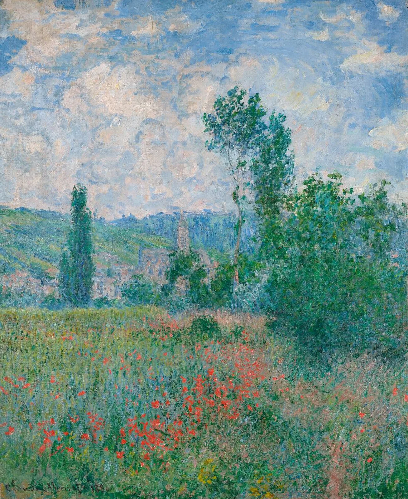 A Poppy Field