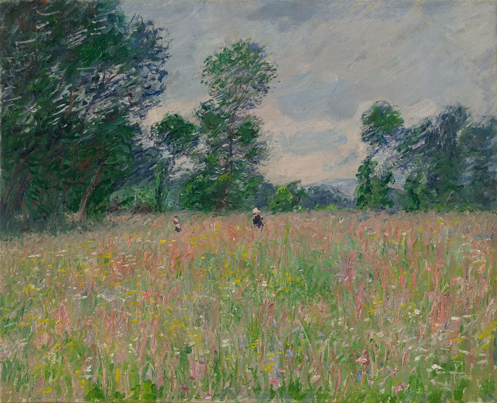 Flowery Meadow