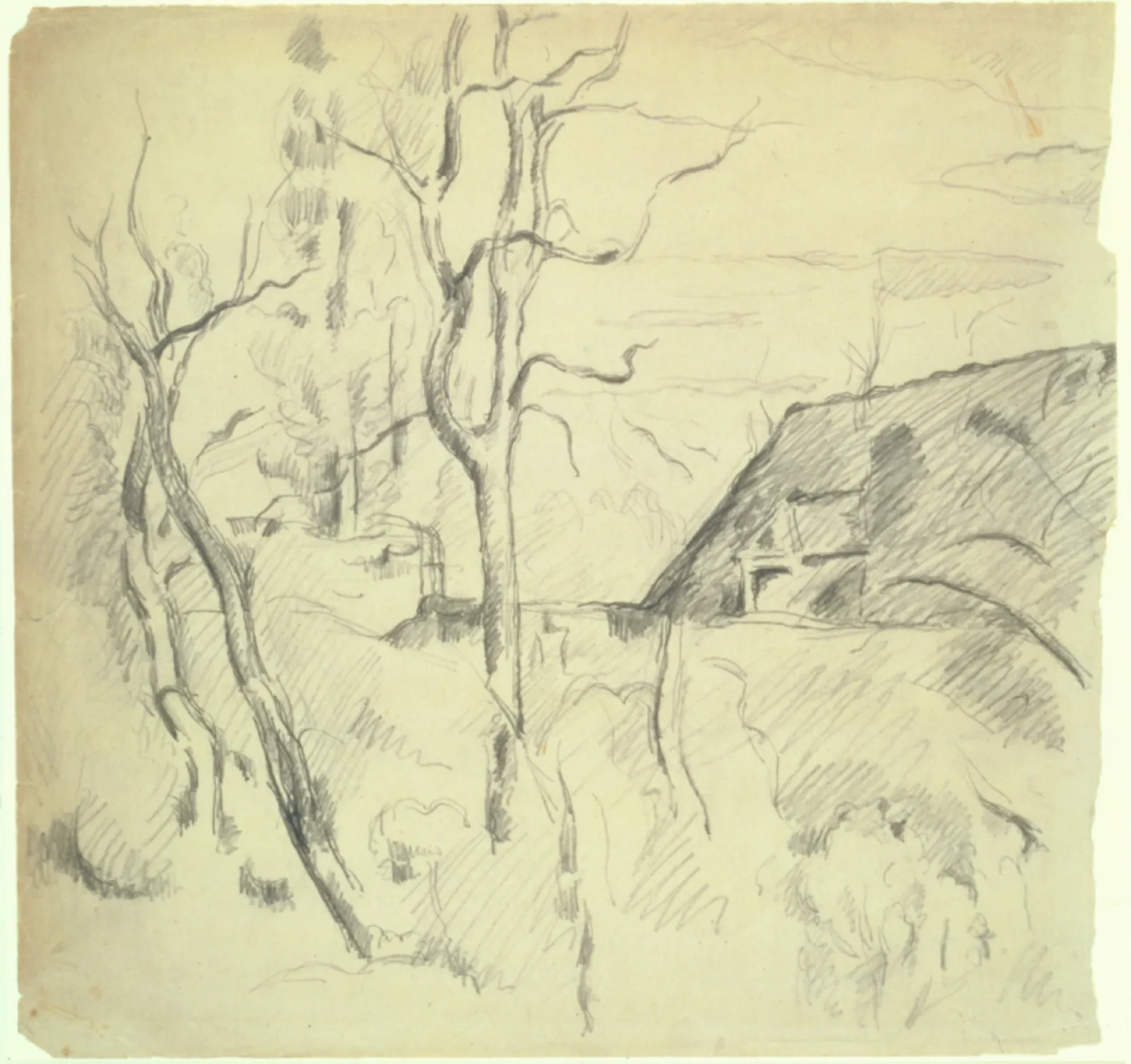 Arbres et toit