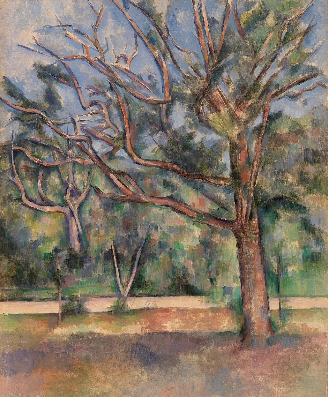 Trees and Road (Arbres et route)