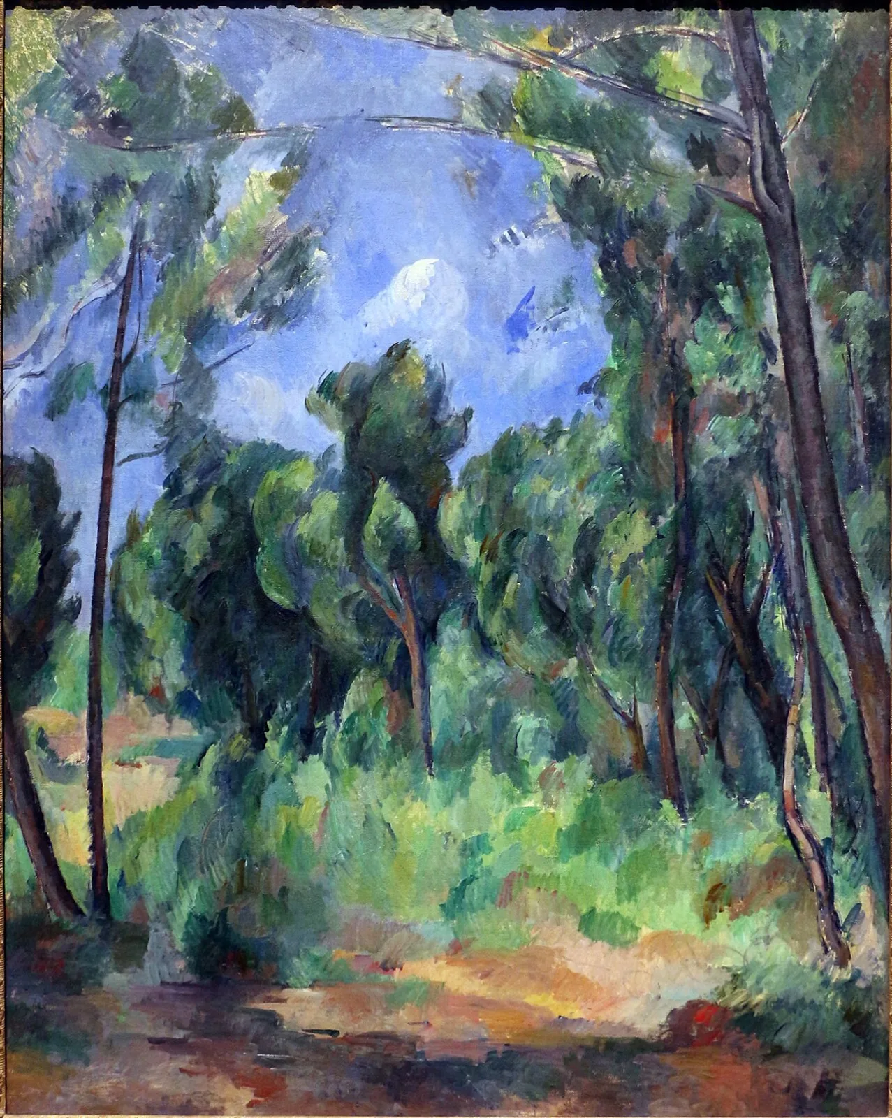 The Glade