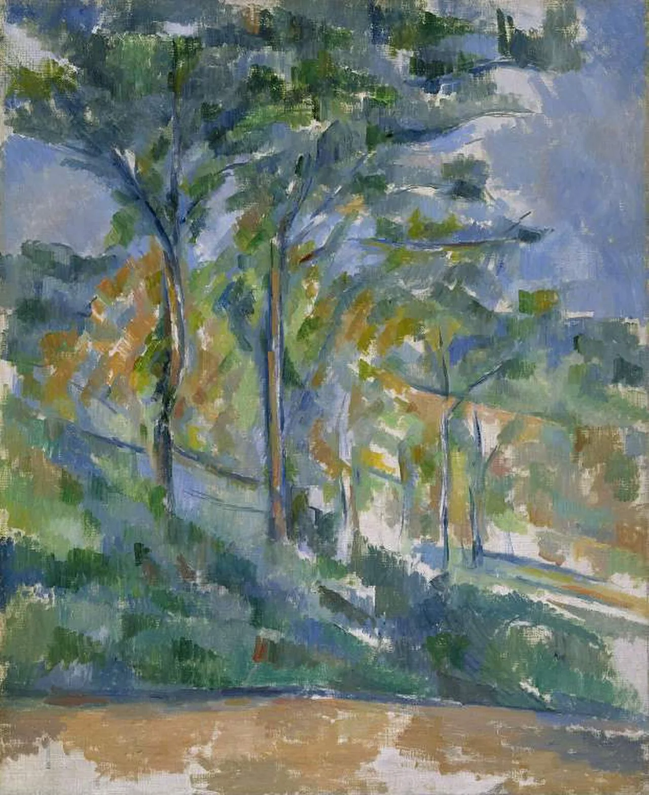 Sous-bois – La Forêt