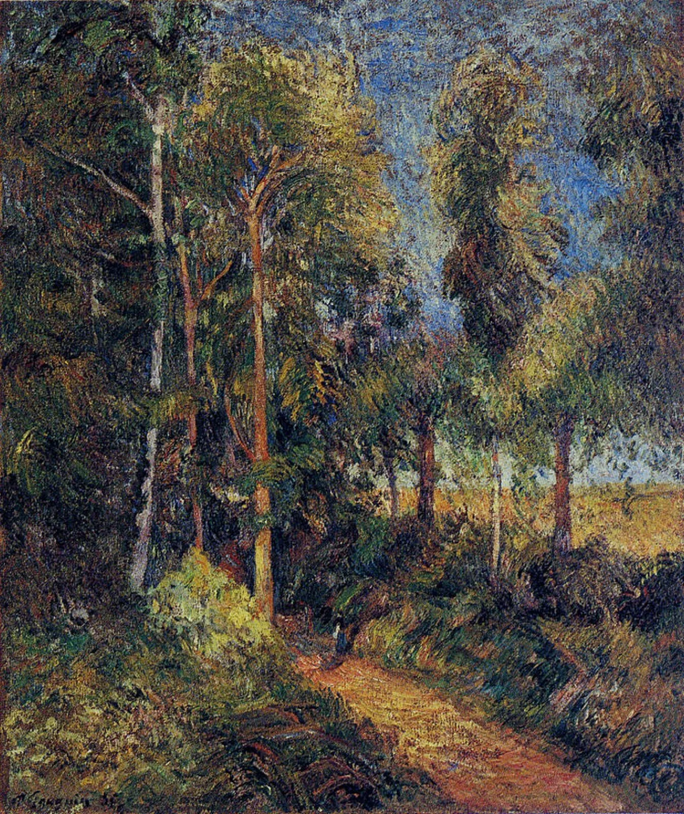 Lane in the Beech Stand