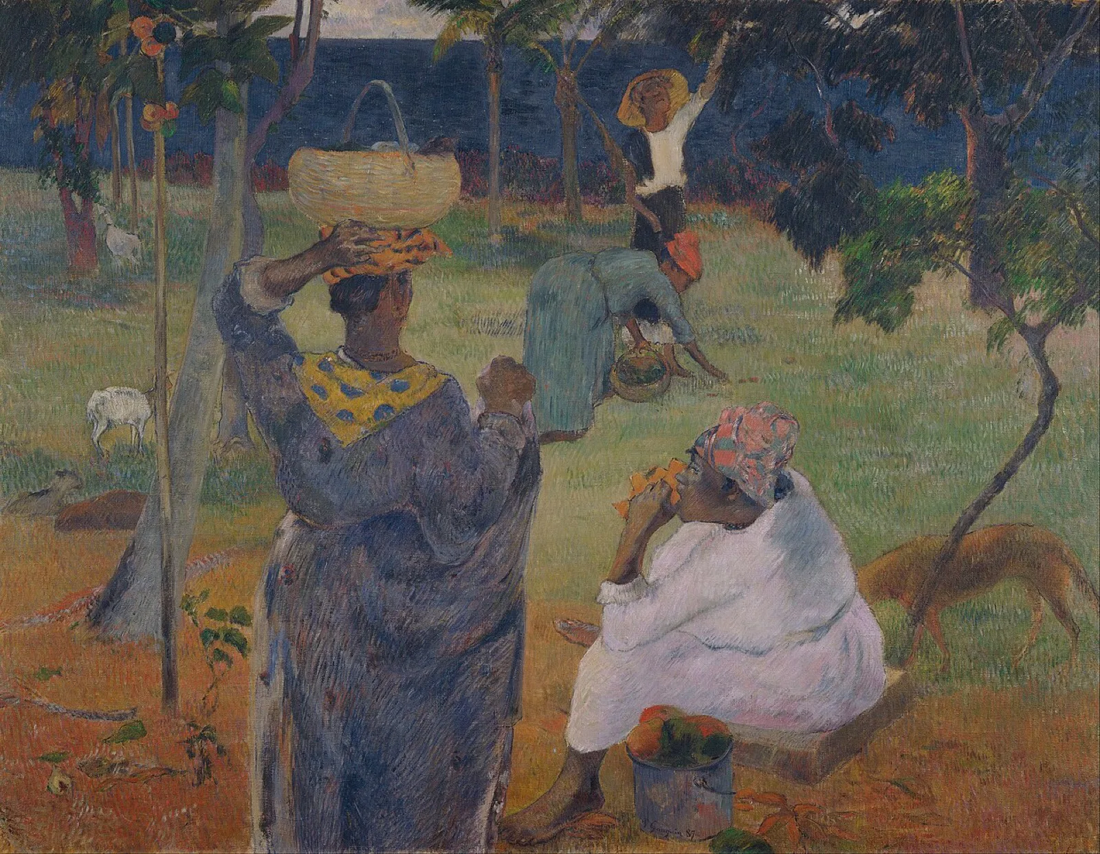 The Mango Trees, Martinique