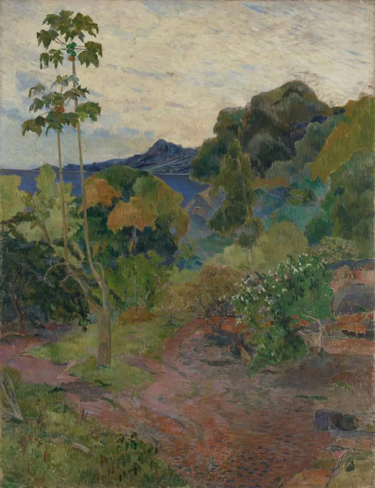 Martinique Landscape