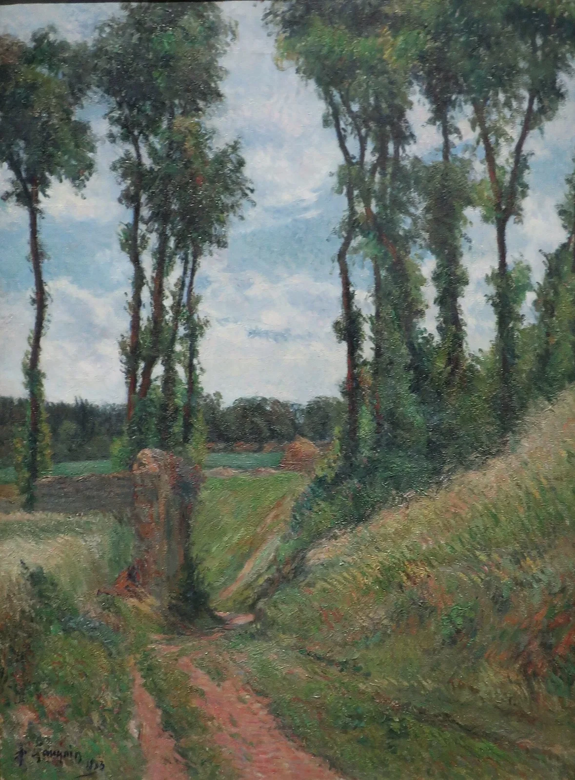 Poplars
