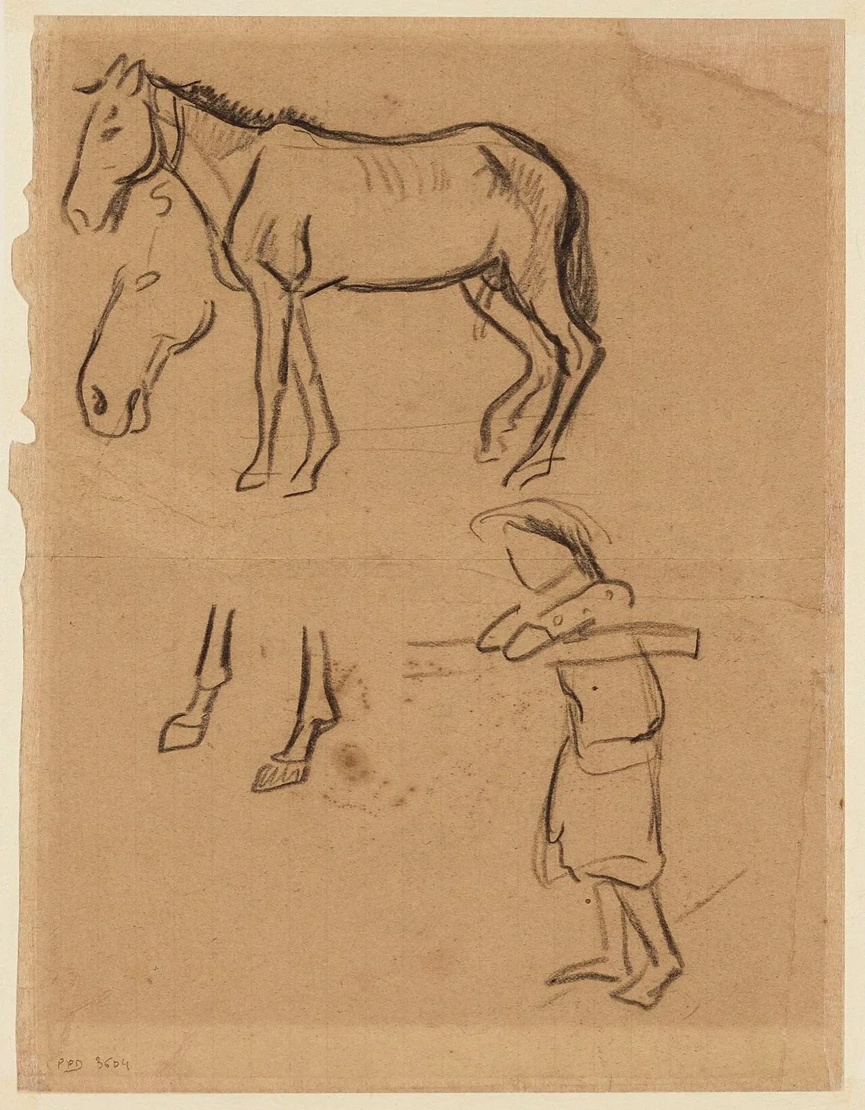 Etudes de cheval (recto) / Buste de tahitienne de face et tête de tahitienne (verso)