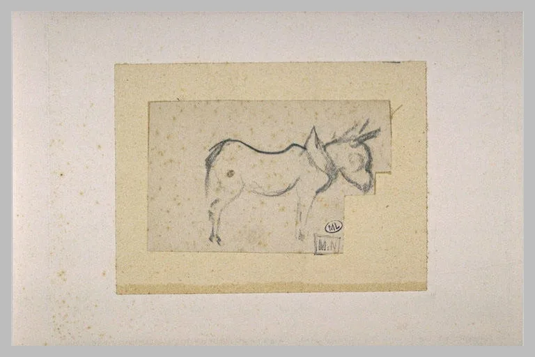 Croquis d'un âne de profil à droite