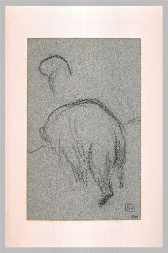 Croquis d'ours, vu de dos et marchant
