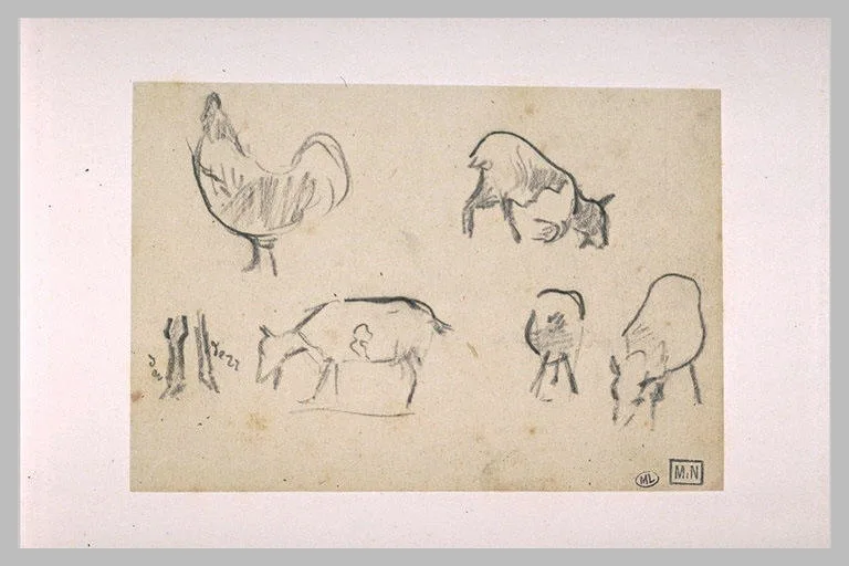 Croquis d'un coq et quatre études de chèvres, plus des pattes