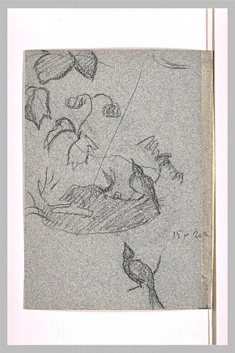 Croquis d'oiseaux, de branches et de fleurs