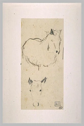 Etudes d'un cheval vu de face, sans les jambes; tête de cheval
