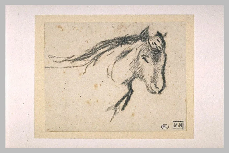 Croquis de cheval, de profil à droite